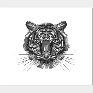 Black and White Tiger Posters and Art